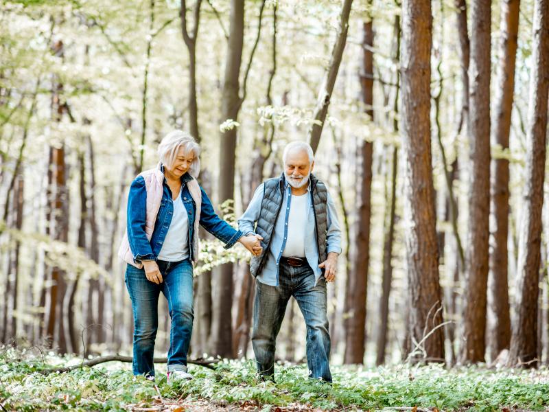 Plimbare prin padure